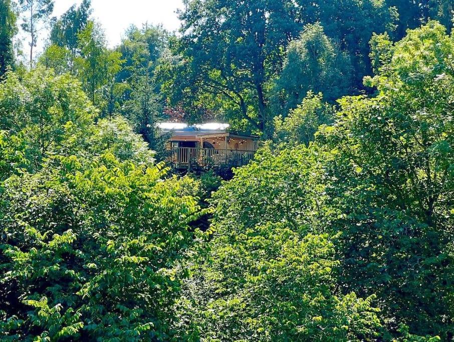 The Pines Treehouse At Treetops Hideouts * Richmond (North Yorkshire)