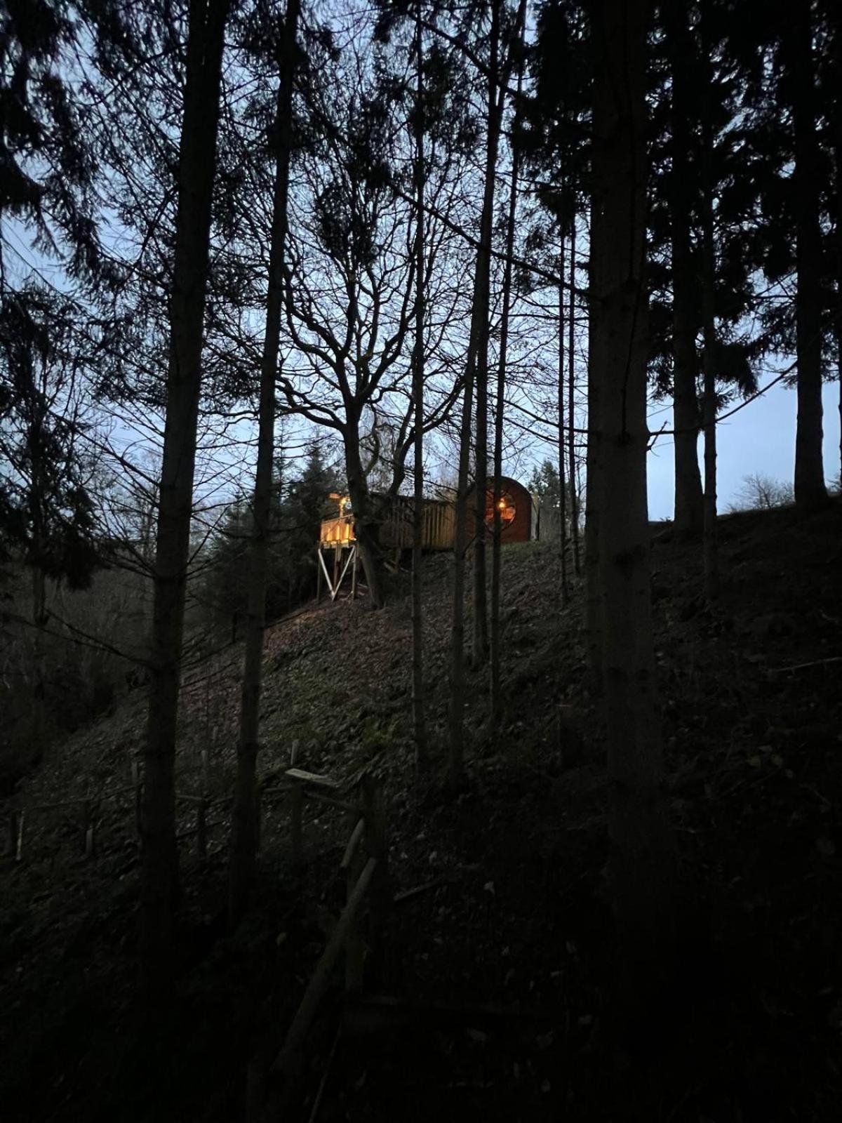 The Pines Treehouse At Treetops Hideouts Дом отдыха *