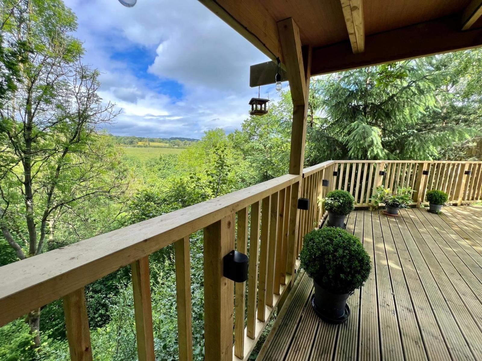 The Pines Treehouse At Treetops Hideouts Ричмонд